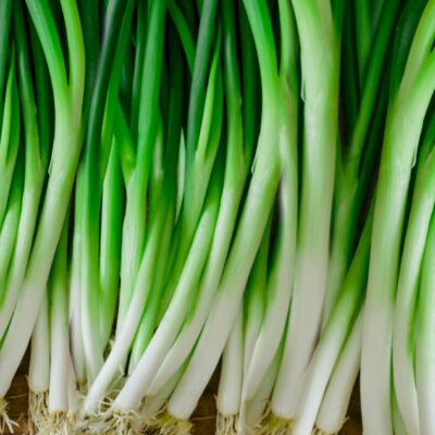 hover-onion-%e8%94%a5