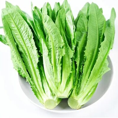 hover-12-a-choy-%e6%b2%b9%e9%ba%a5%e8%8f%9c%e8%8b%97