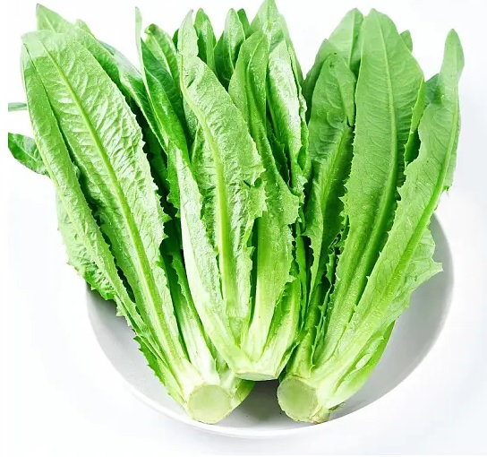 12. A Choy Seedling 油麥菜苗