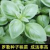 gallery-0