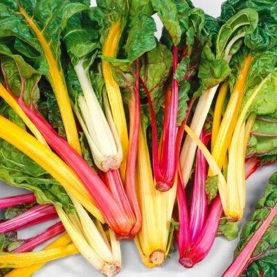 hover-28-swiss-chard-%e4%ba%94%e5%bd%a9%e8%8e%99%e8%8d%99%e8%8f%9c