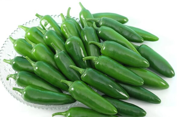 55. Jalapeno Pepper Seedling 墨西哥辣椒苗(手指椒)