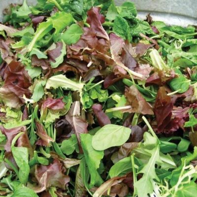 hover-19-salad-bowl-mix-%e6%b2%99%e5%be%8b%e7%94%9f%e8%8f%9c