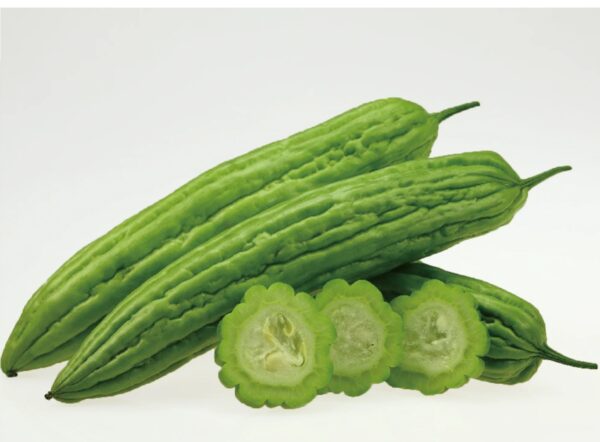 72. Bitter Melon Seedling 苦瓜苗(涼瓜)