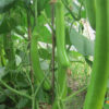 gallery-1