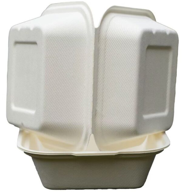 Take Out Box 6