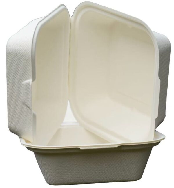 Take Out Box 6