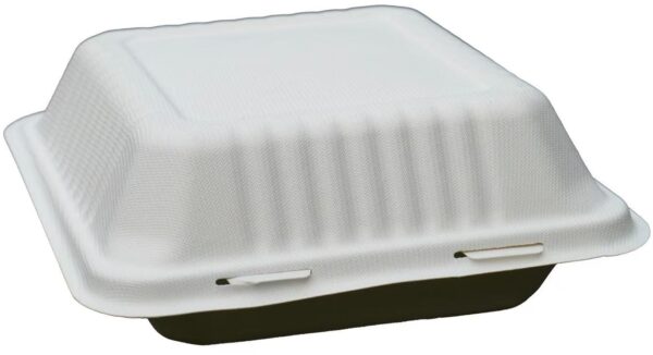 Take Out Box 8