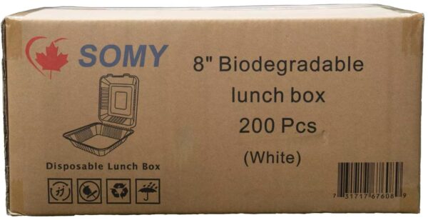 Take Out Box 8