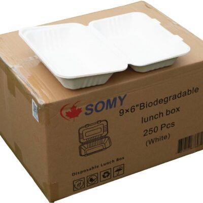 hover-take-out-box-9-x-6-lunch-box