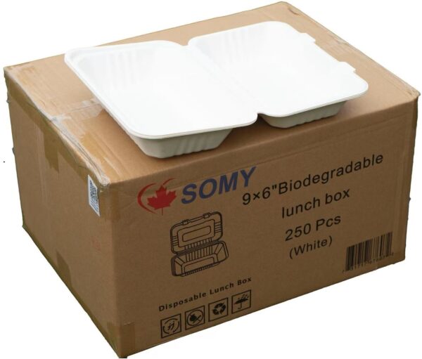 Take Out Box 9