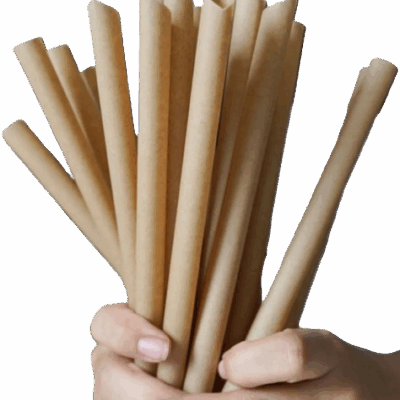 Bio Drink Bubble tea Straw 12x210mm環保吸管(珍珠奶茶用)