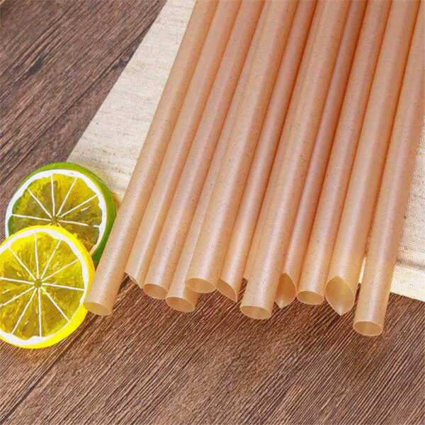 Biodegradable Drink Straw 6 x 210mm 環保吸管