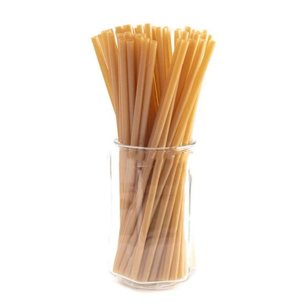 Biodegradable Drink Straw 6 x 210mm 環保吸管