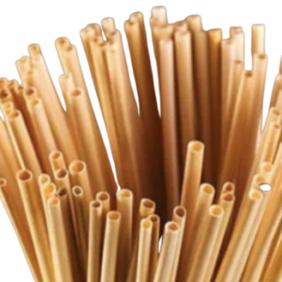 Biodegradable Drink Straw 6 x 210mm 環保吸管