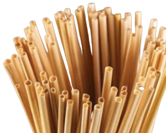 Biodegradable Drink Straw 6 x 210mm 環保吸管