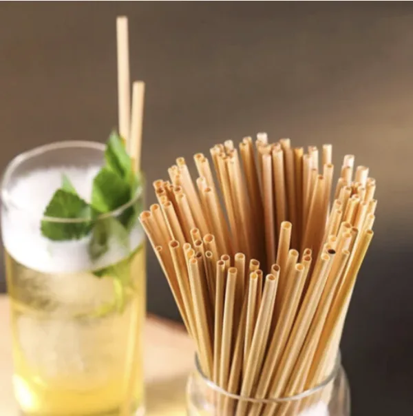 Biodegradable Drink Straw 6 x 210mm 環保吸管